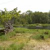 Kanutrip Naturreservat Sporting Lake_06